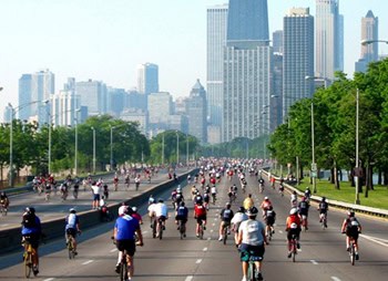 Cyclists on a city highway with tall buildings in the background - Sharks at Law